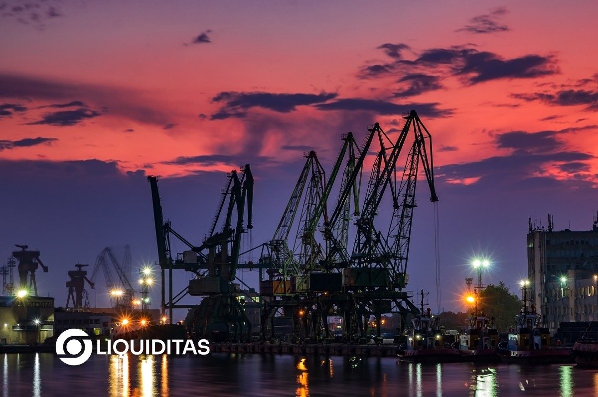 Supply Chain Finance and the Future