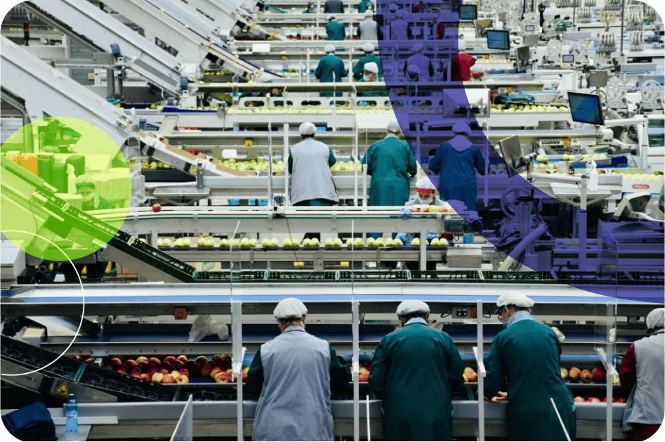 Food & Beverage Industry 3 LQ photos 08comp